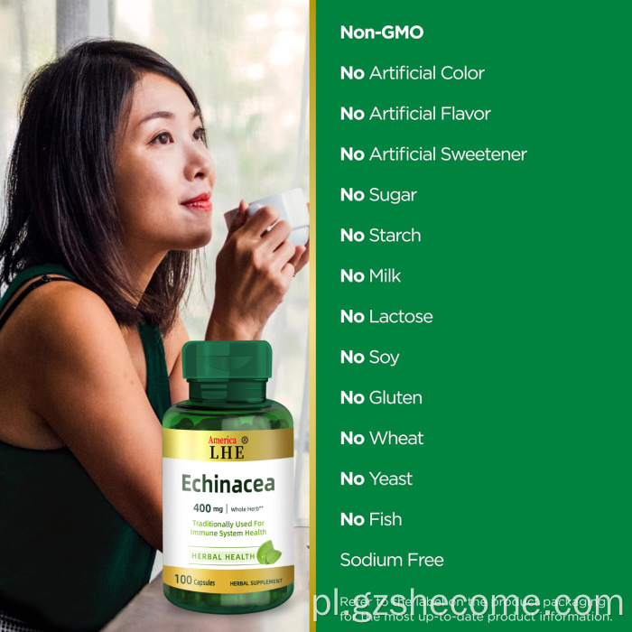 Suplement echinacea dla zdrowia układu odpornościowego